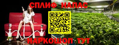 дмт Тара