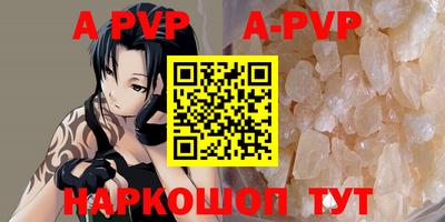дмт Тара